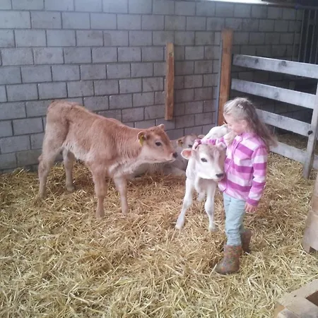 Bellina - Bioberguen By Interhome *