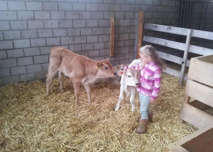 Bellina - Bioberguen By Interhome *